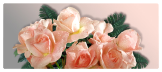 DNSEMP-L-062 Bouquet Of Roses Peach